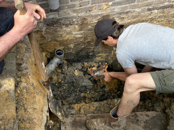  Cascade, IA Water damage restoration Pros